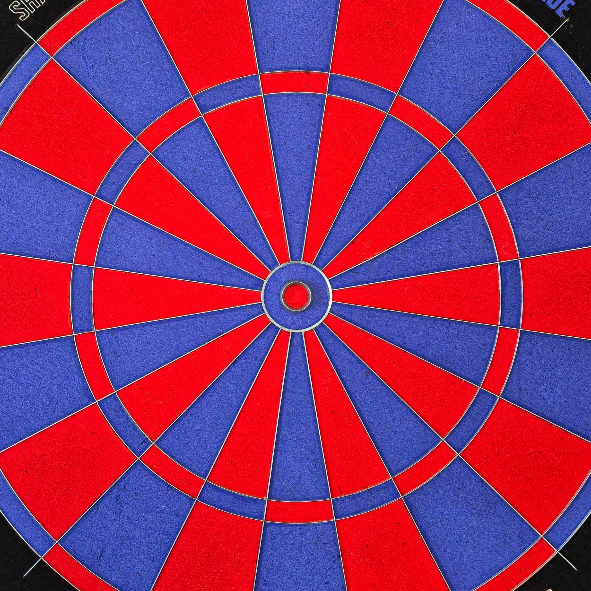 Ocelový terč Bulls NL Shark Blue Pro Das Bild zeigt das Bulls NL Shark Blue Pro Steeldartboard mit klaren Sektoren. Die Oberfläche und Markierungen sind detailliert sichtbar.