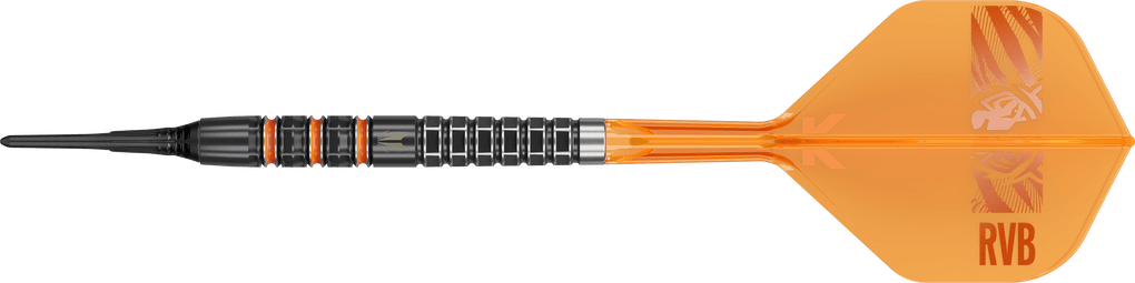 Target Raymond Van Barneveld 95K Softdarts - 20g