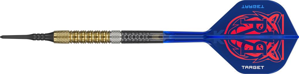 Target freccette morbide Raymond Van Barneveld GEN6