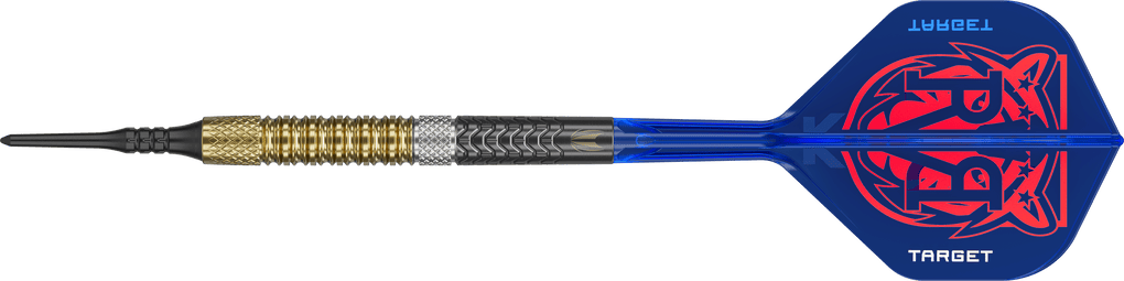 Target freccette morbide Raymond Van Barneveld GEN6