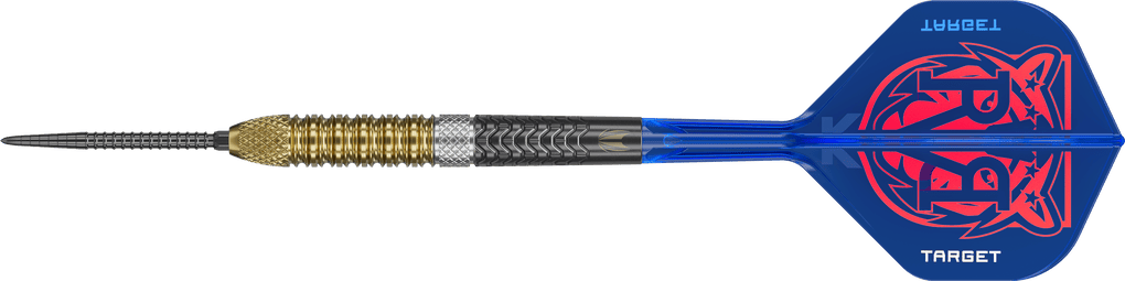Target freccette in acciaio Raymond Van Barneveld GEN6 Swiss Point