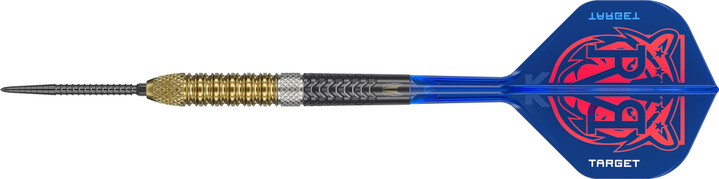 Target freccette in acciaio Raymond Van Barneveld GEN6 Swiss Point