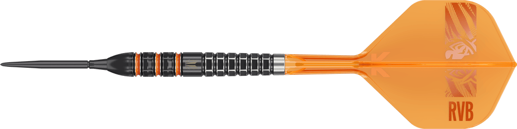 Target Raymond Van Barneveld 95K Swiss Points Steeldarts