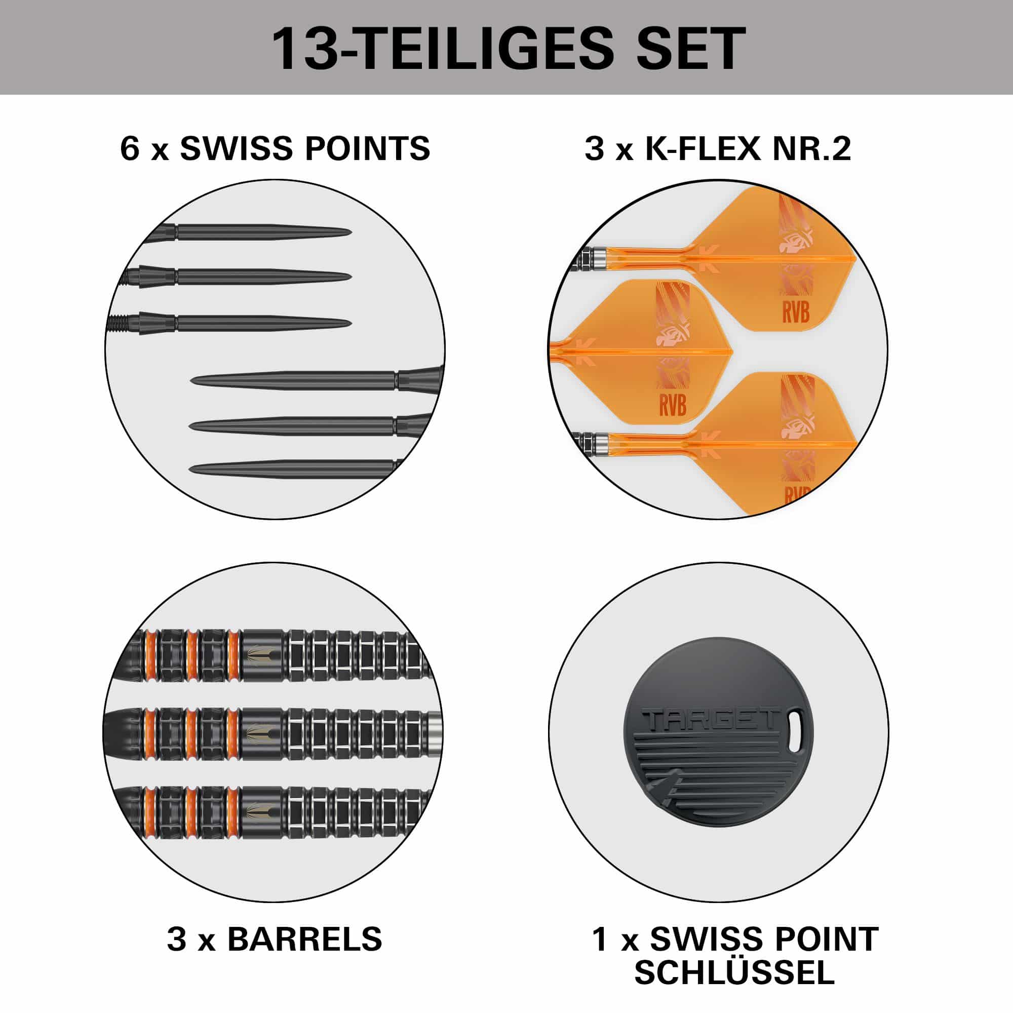 Target Raymond Van Barneveld 95K Swiss Points Steeldarts