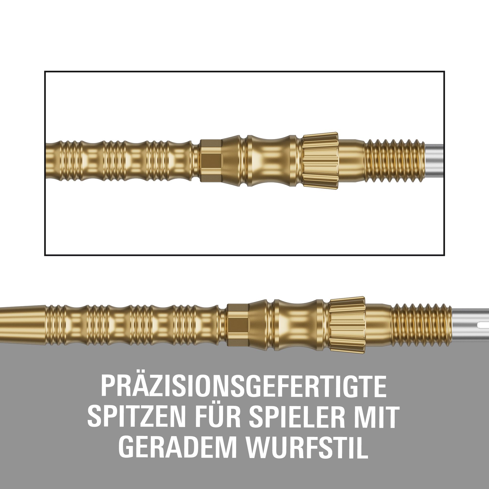 Target Signature Swiss Point TRB Steeldartspitzen - Gold Gezeigt werden Target Signature Swiss Point TRB Steeldartspitzen - Gold. Diese Dartspitzen haben eine goldene Farbe und sind für Steeldarts gedacht.
