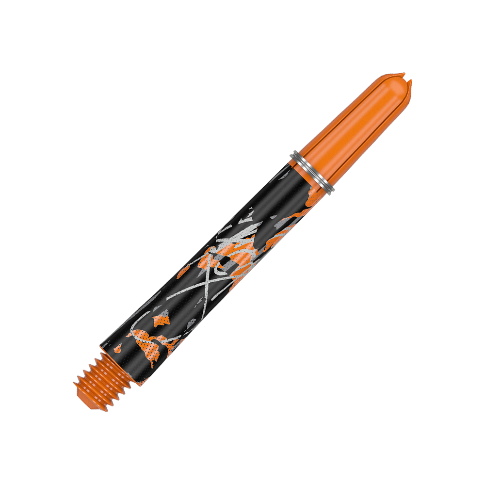 Tiges Target Pro Grip Icon Raymond Van Barneveld