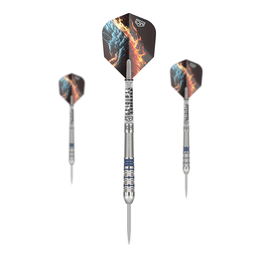 DW Phoenix steel darts