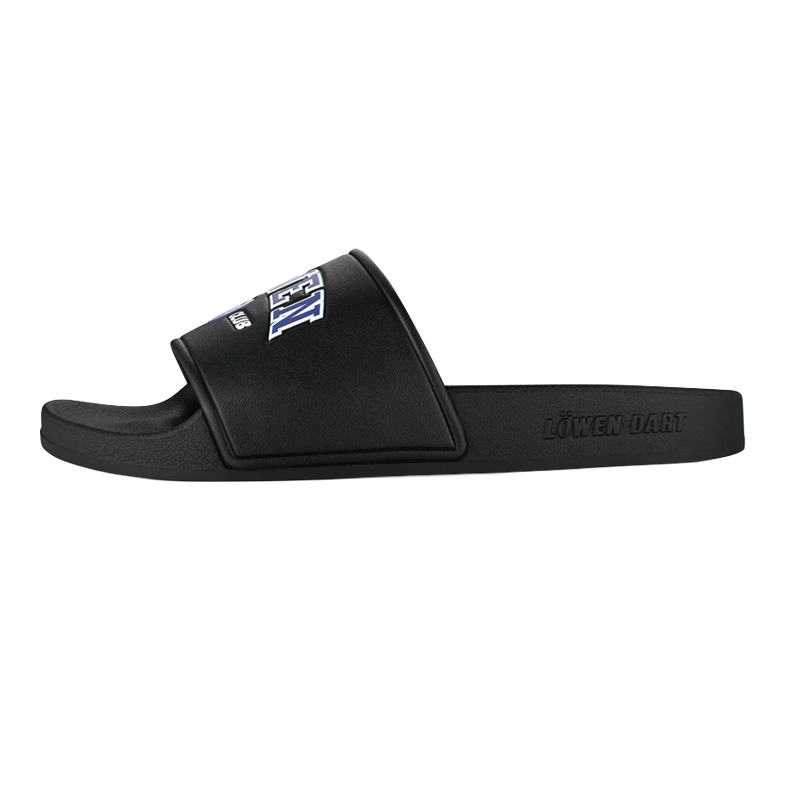Löwen Kollektion DARTIletten Dieses Foto stellt die Löwen Kollektion DARTIletten Schuhe dar. Ideal geeignet für Liebhaber des Dartsports.