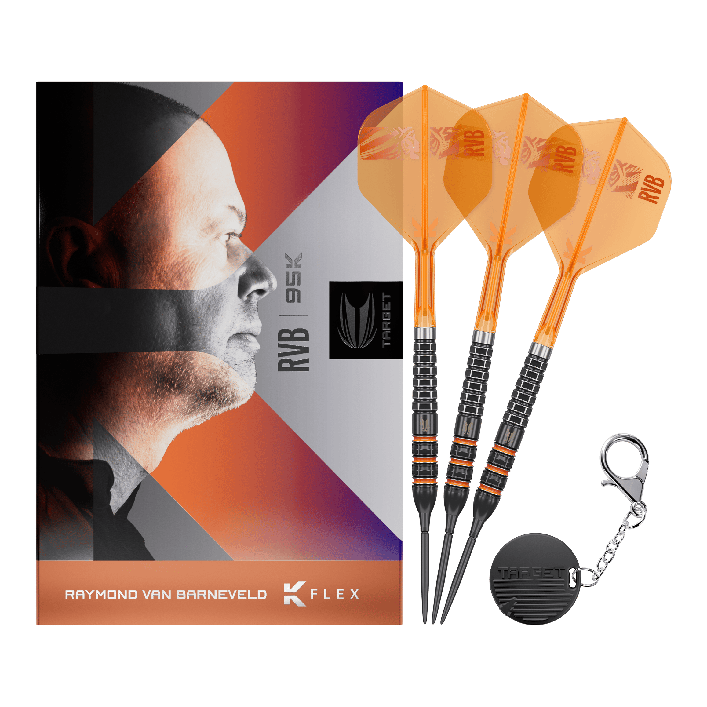Target Raymond Van Barneveld 95K Swiss Points Steeldarts