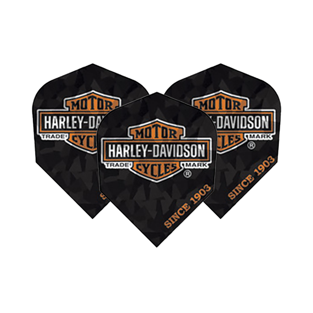 Harley-Davidson OilCan Hologramme No2 Vols standard
