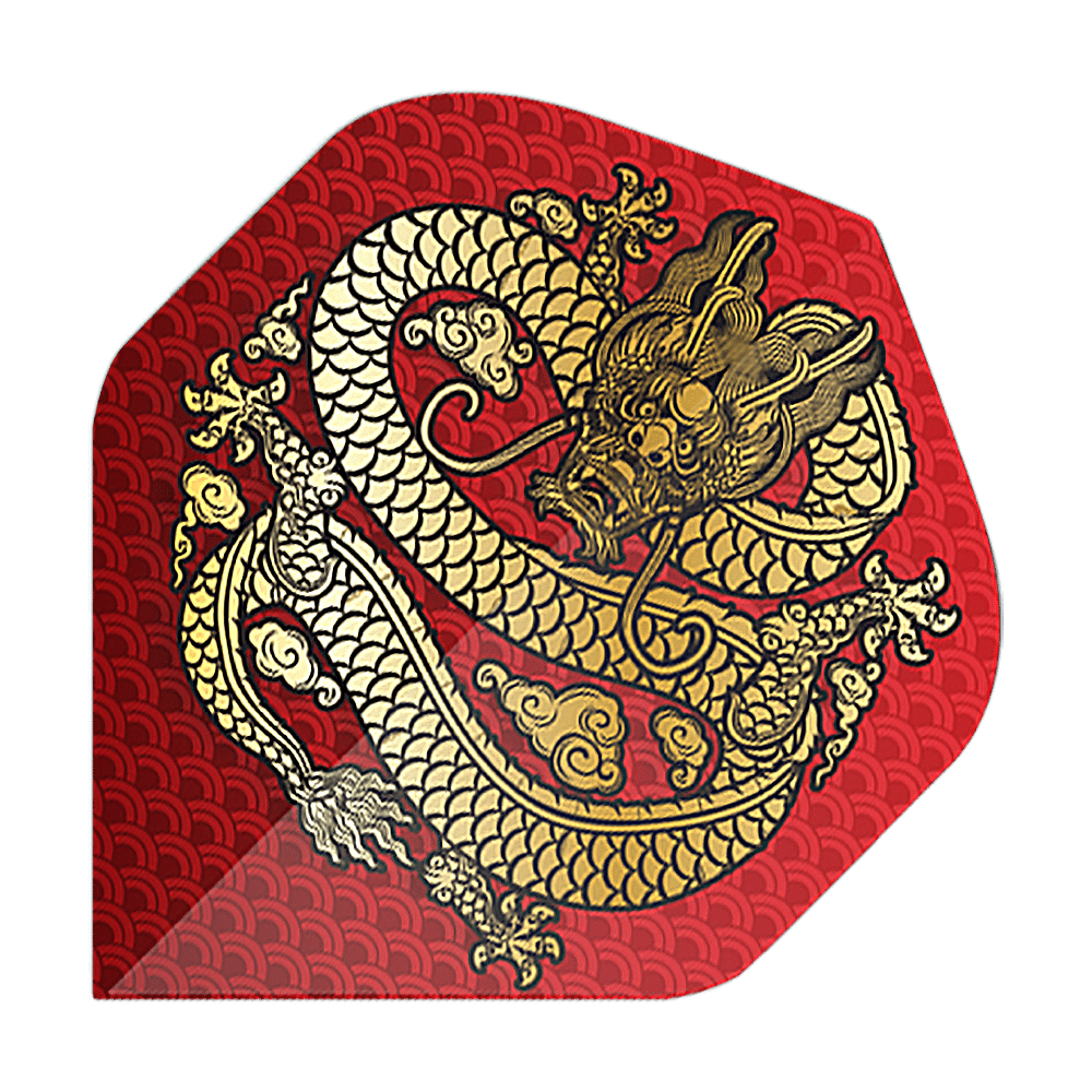 Vols standards du Pentathlon Dragon 1