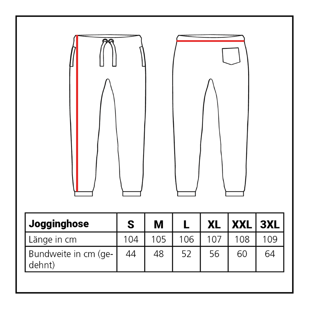 Joggers de la collection Lion 