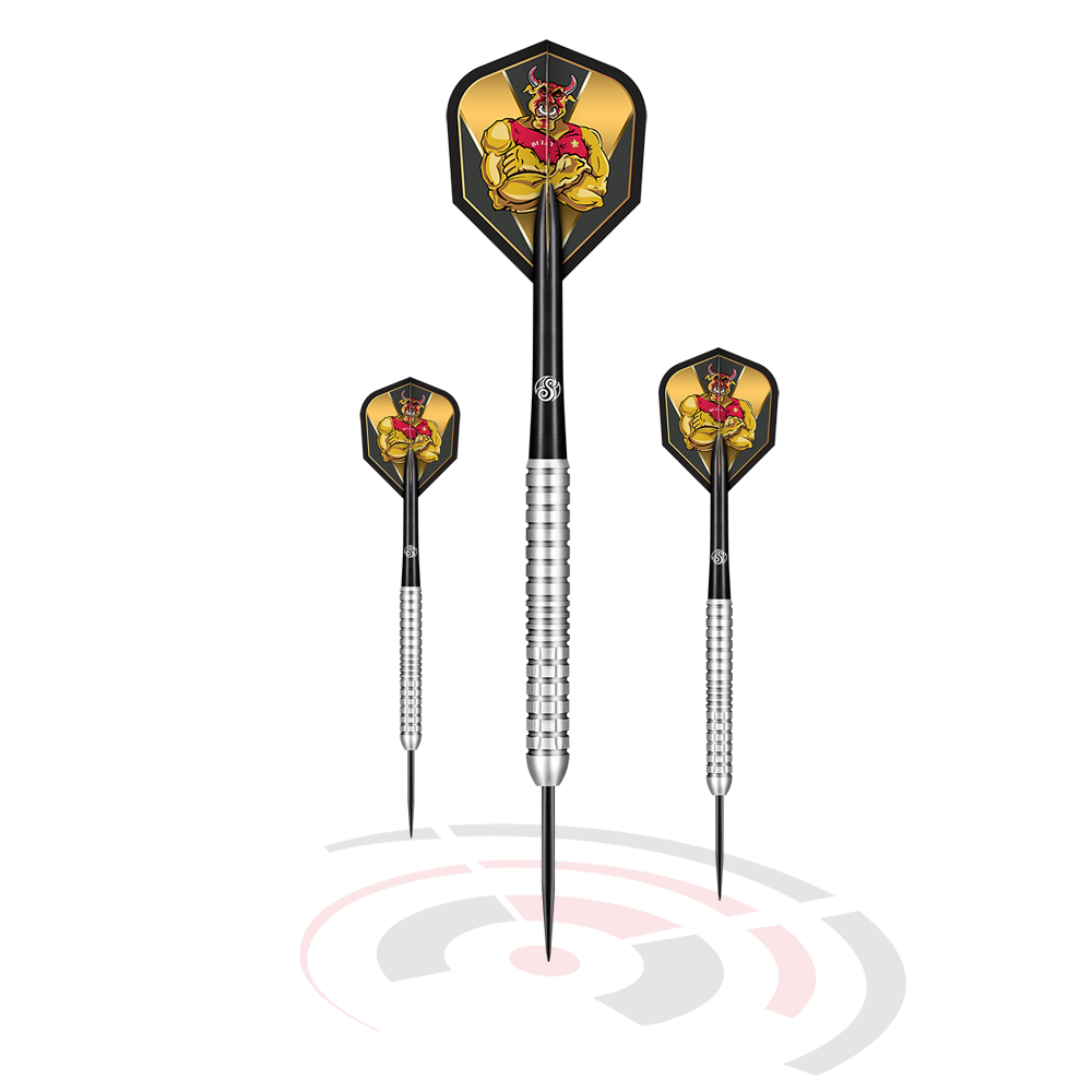 Shot Michael Smith Precision steel darts 25g 775038