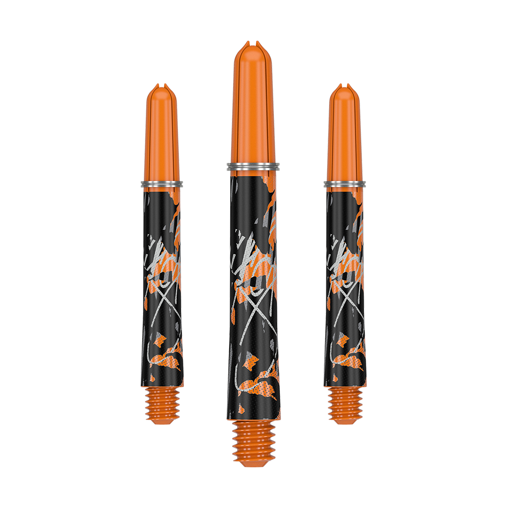 Cañas Target Pro Grip Icon Raymond Van Barneveld