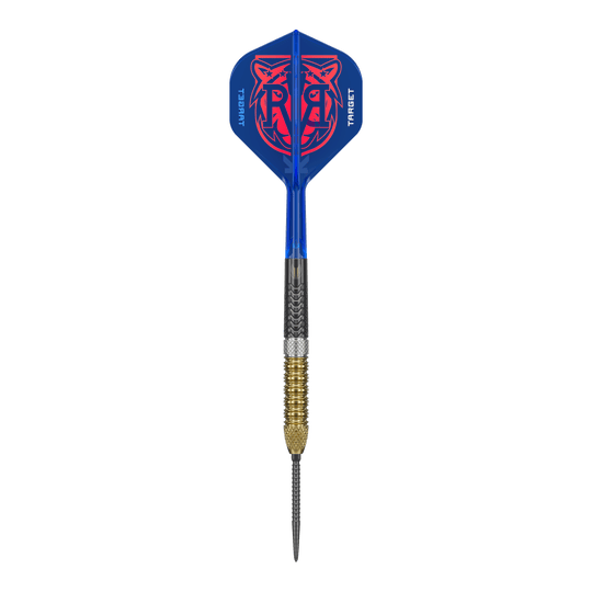 Abgebildet sind die Target Raymond Van Barneveld GEN6 Swiss Point Steeldarts. Diese Steeldarts bieten erstklassige Qualität und Präzision.