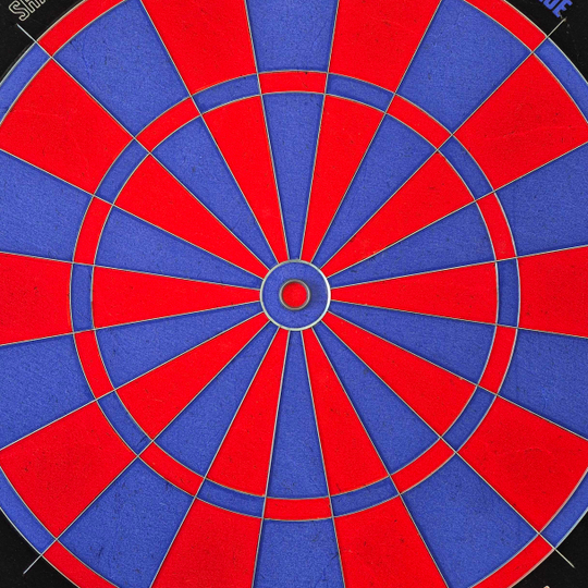 Bulls NL Shark Blue Pro Steeldartboard