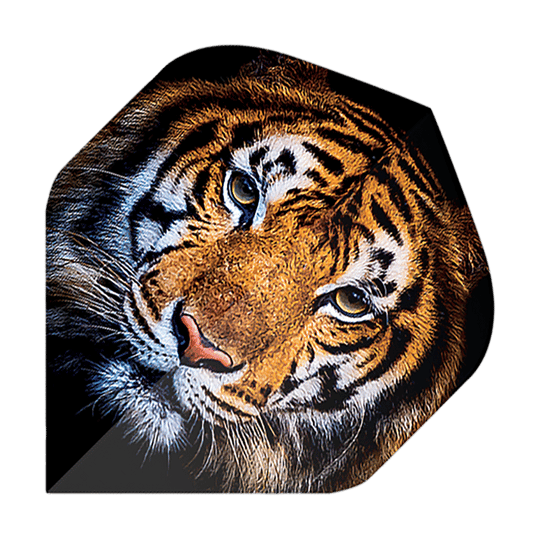 Plumas estándar Pentatlón Tiger No2