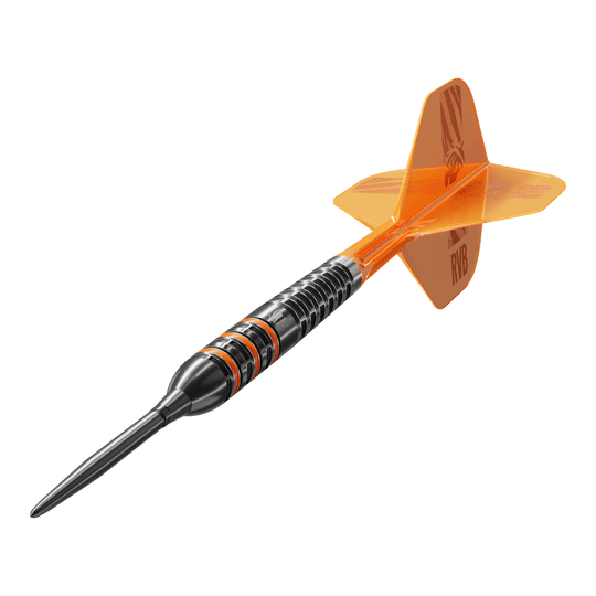 Target Raymond Van Barneveld 95K Swiss Points Steeldarts