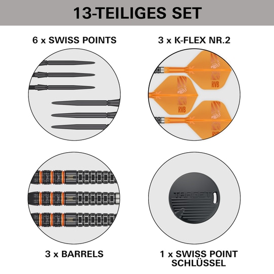 Target Raymond Van Barneveld 95K Swiss Points Steeldarts