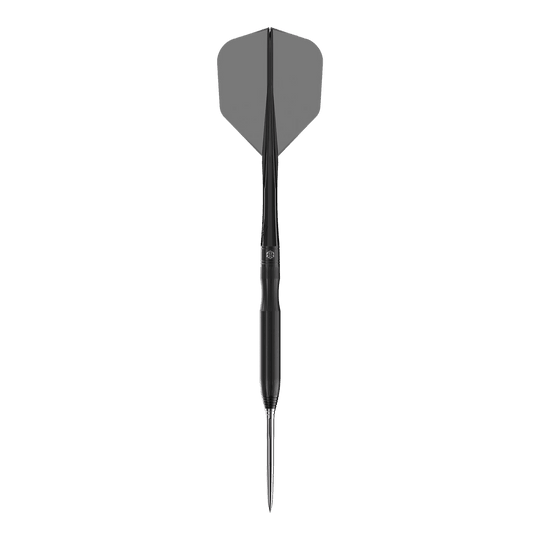Ocelové šipky Caliburn Chord C1 - 21,5 g Hier ist der Caliburn Chord C1 Steeldart mit 21,5g zu sehen. Der Dartpfeil ist aus der Nähe fotografiert.