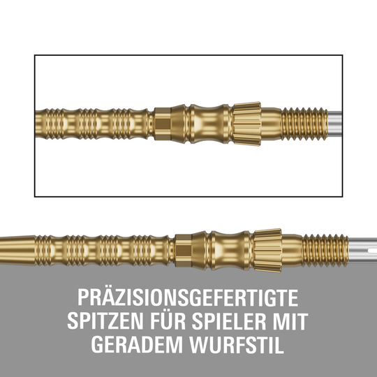 Target Signature Swiss Point TRB Steeldartspitzen - Gold Gezeigt werden Target Signature Swiss Point TRB Steeldartspitzen - Gold. Diese Dartspitzen haben eine goldene Farbe und sind für Steeldarts gedacht.