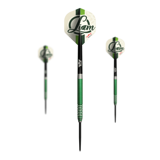 Dardos de acero Bulls NL Liam Maendl Lawrance - 23 g Das Bild zeigt drei Steeldarts des Modells "Bulls NL Liam Maendl Lawrance Steeldarts - 23g". Die Darts haben grüne Akzente und zeigen den Namen "Liam" auf den Flights.