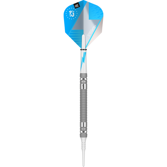 Target The Power Series Silver Softdarts