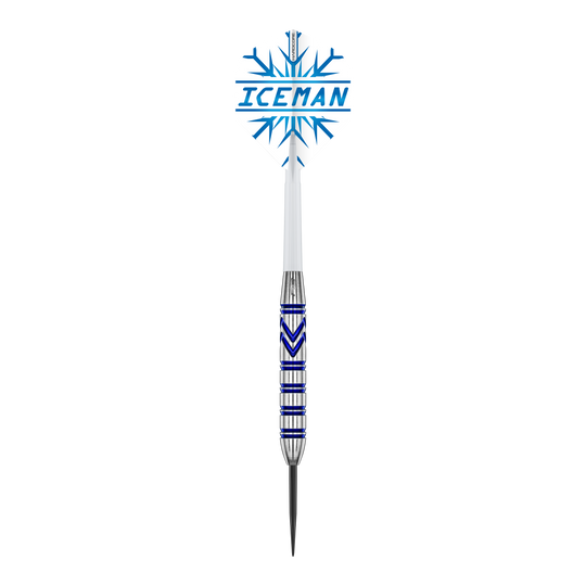 Red Dragon Gerwyn Price Brass Steeldarts - 21 g Red Dragon Gerwyn Price Brass Steeldarts - 21 g