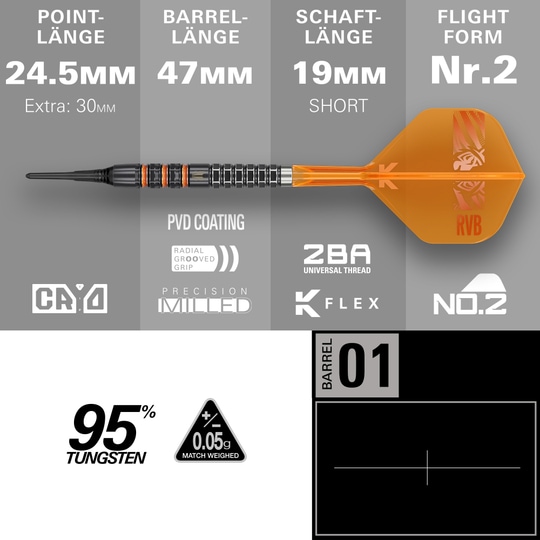 Target Raymond Van Barneveld 95K Softdarts - 20g
