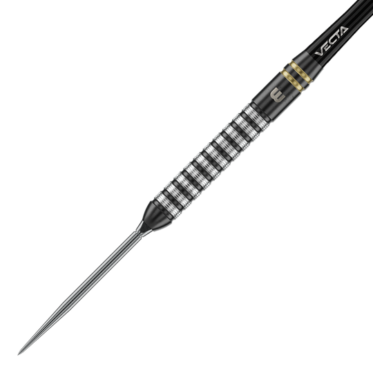 Winmau Gian Van Veen TS Switch Point Steeldarts Das Foto zeigt Winmau Gian Van Veen TS Switch Point Steeldarts. Der Dartpfeil ist detailliert abgebildet.