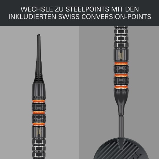 Target Raymond Van Barneveld 95K Softdarts - 20g