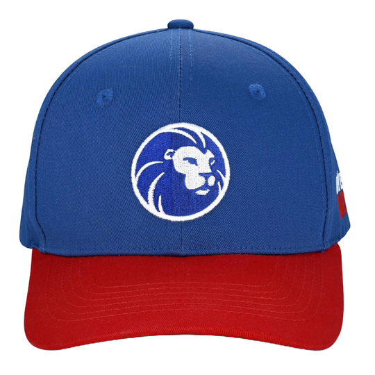 Löwen Kollektion Cap Gezeigt wird eine Cap aus der Löwen Kollektion. Sie ist perfekt für Fans des Dartspiels geeignet.