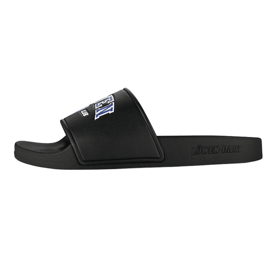 Löwen Kollektion DARTIletten Dieses Foto stellt die Löwen Kollektion DARTIletten Schuhe dar. Ideal geeignet für Liebhaber des Dartsports.