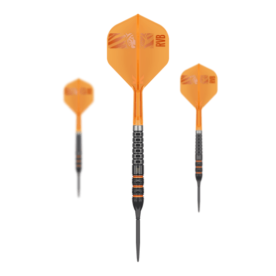Target Raymond Van Barneveld 95K Swiss Points Steeldarts Target Raymond Van Barneveld 95K Swiss Points Steeldarts