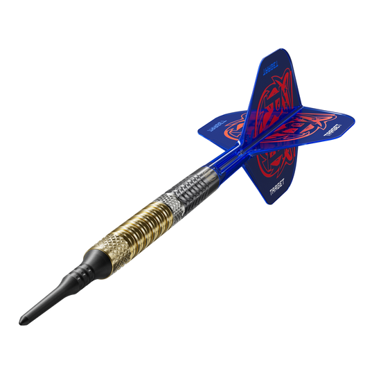 Target freccette morbide Raymond Van Barneveld GEN6 Das Bild zeigt die Target Raymond Van Barneveld GEN6 Softdarts aus einer anderen Perspektive. Die Details der Softdarts sind gut erkennbar.