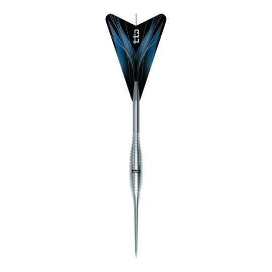 Caliburn TTD Complete Titanium T2 Stříbrné Steeldarts - 6g Abgebildet ist das Produkt Caliburn TTD Complete Titanium T2 Silver Steeldarts - 6g. Diese silbernen Steeldarts bestehen aus Titan und wiegen 6 Gramm.