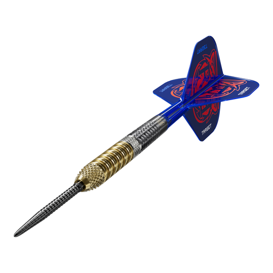 Target freccette in acciaio Raymond Van Barneveld GEN6 Swiss Point Abgebildet sind die Target Raymond Van Barneveld GEN6 Swiss Point Steeldarts. Es handelt sich um hochwertige Steeldarts für Dartspieler.