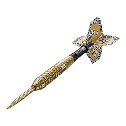 Gezeigt wird der Target Bolide Envy 02 Swiss Point Steeldart. Der Dartpfeil ist für präzises Werfen und hohen Komfort konzipiert.