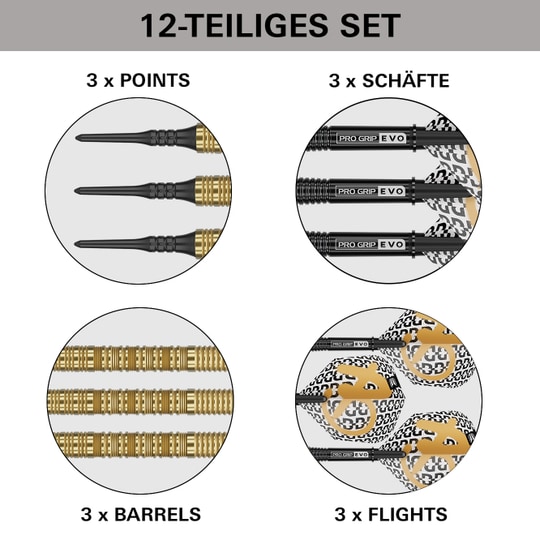 Das Bild zeigt die Target Bolide Envy 10 Softdarts. Diese Softdarts sind für den elektronischen Dartsport entworfen.