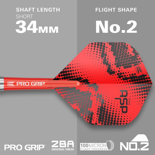 Šipky Target Nathan Aspinall Brass Steel - 22g Das Bild präsentiert die Target Nathan Aspinall Brass Steeldarts, 22g. Dieses Set ist für das Spielen von Steeldarts konzipiert.