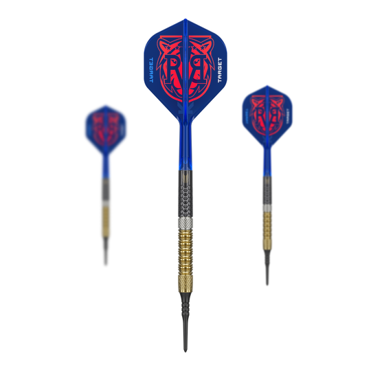 Target freccette morbide Raymond Van Barneveld GEN6 Das Bild zeigt das Target Raymond Van Barneveld GEN6 Softdarts Set. Alle enthaltenen Darts und Zubehörteile sind zusammen zu sehen.