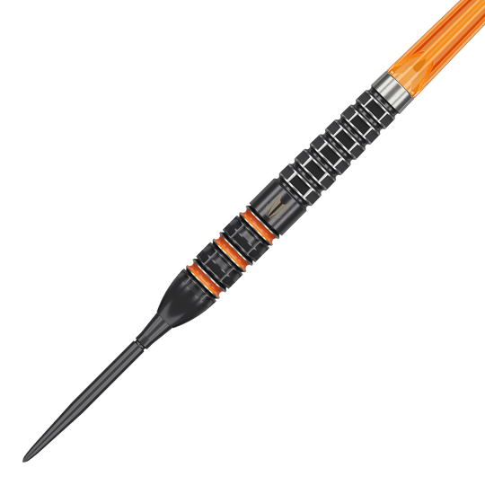 Target Raymond Van Barneveld 95K Swiss Points Steeldarts