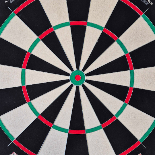 Bulls NL Advantage 8 TRAINER Steeldartboard