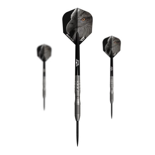 Bulls NL Eagle 3 Steeldarts