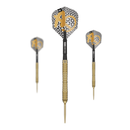 Target Bolide Envy 04 Swiss Point Steeldarts sind im Bild zu erkennen. Das Set eignet sich ideal für Wettkämpfe und Freizeitspiele.