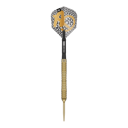 Abgebildet ist ein Target Bolide Envy 04 Swiss Point Steeldarts. Die Darts haben ein elegantes Design und sind für präzises Spiel geeignet.