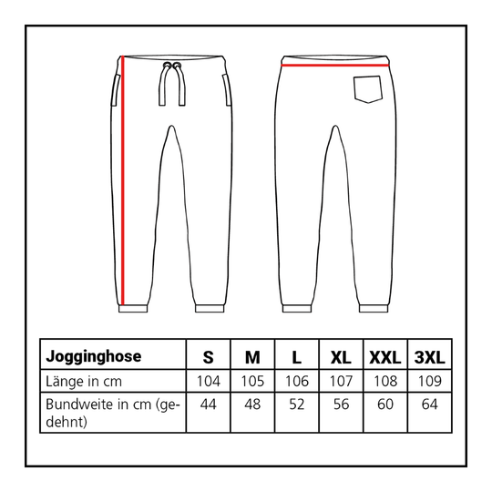 Joggers de la collection Lion Joggers de la collection Lion