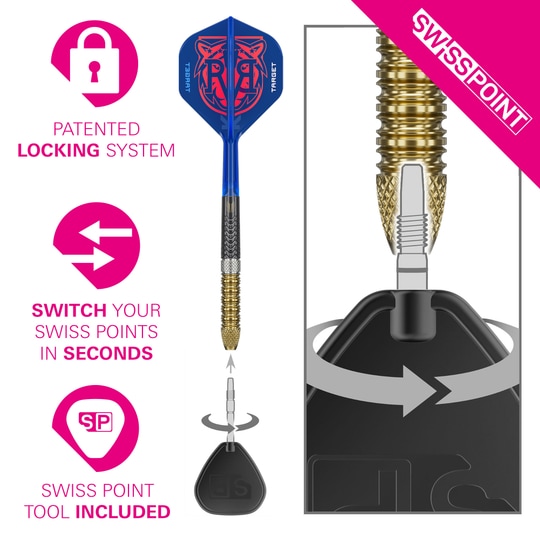 Das Bild zeigt die Target Raymond Van Barneveld GEN6 Swiss Point Steeldarts. Die Darts sind hochwertig verarbeitet und speziell für professionelle Spieler entwickelt.