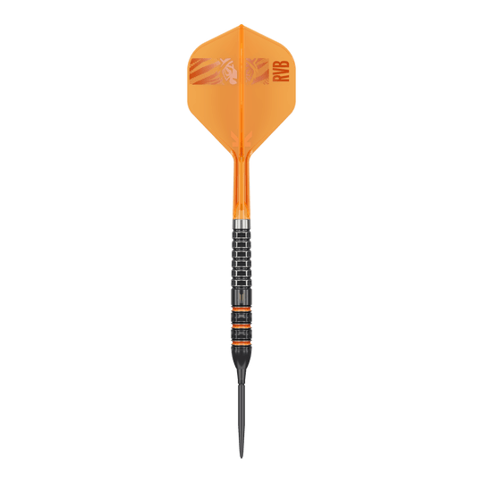 Target Raymond Van Barneveld 95K Swiss Points Steeldarts